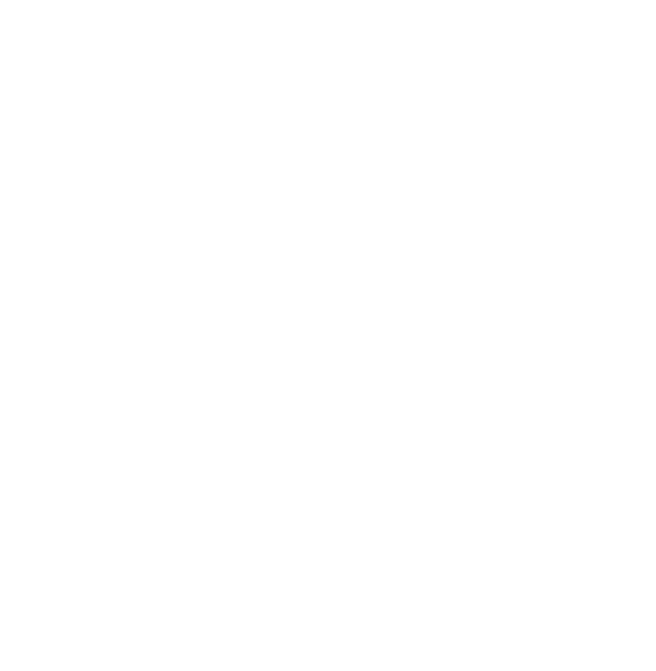 Vital Health Initiative